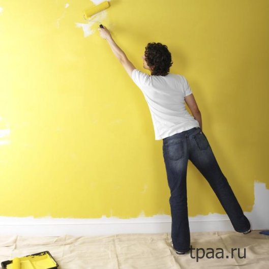Окраска стен - выбор краски